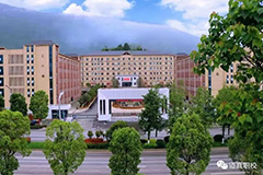 道真县中等职业学校幼儿保育专业人培方案