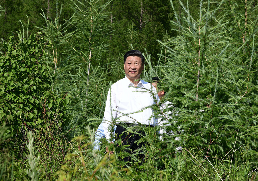 学习进行时丨“人不负青山，青山定不负人”