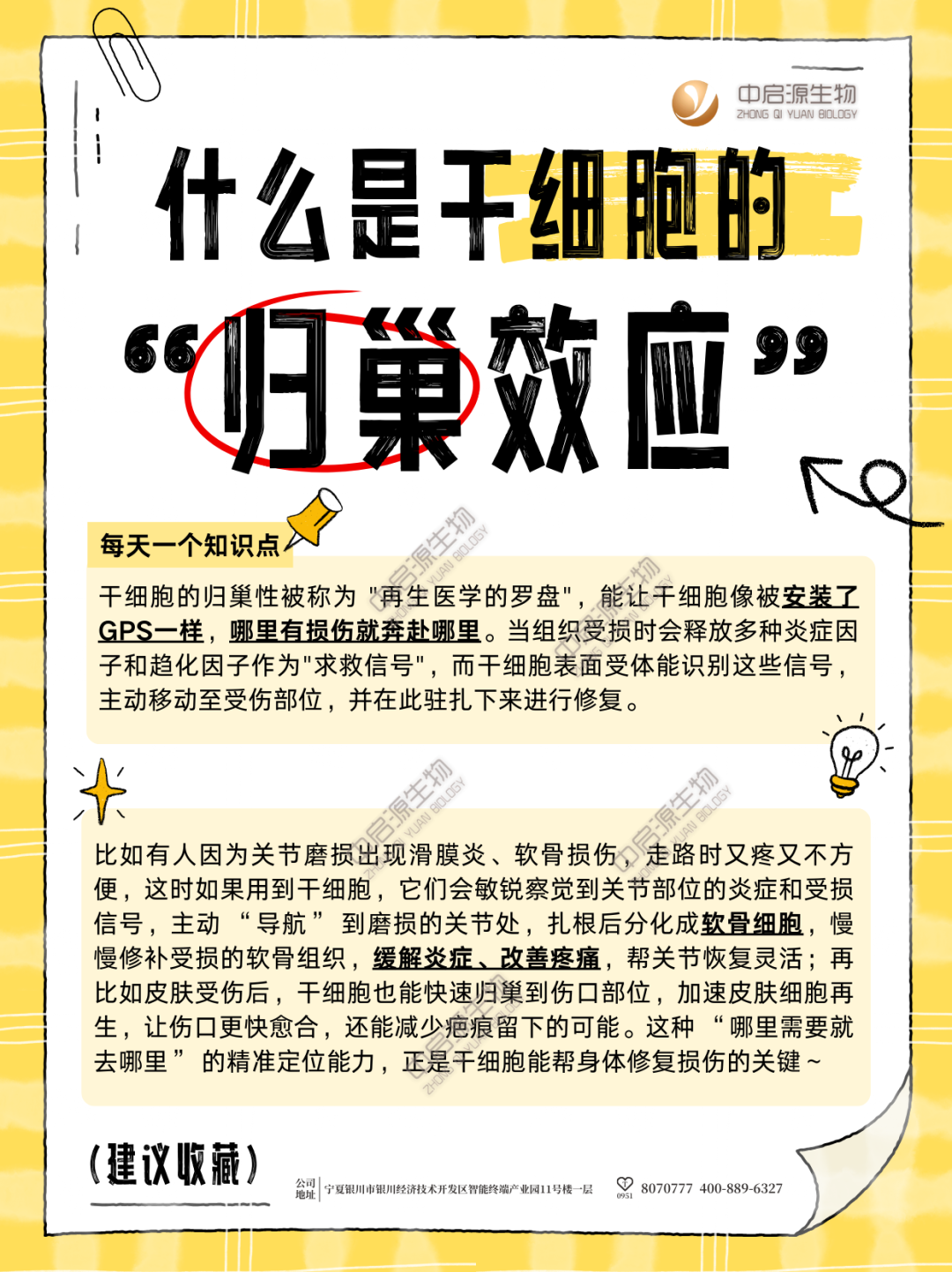 细胞科普|什么是干细胞的“归巢效应”？