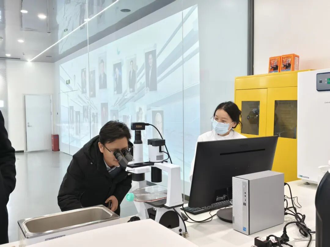 总部要闻|芯空一号快讯 | 为什么肾损伤会变成肾衰？关键细胞被首次锁定！VCAM1⁺/ICAM1⁺炎症型PT细胞揭示纤维化关键机制