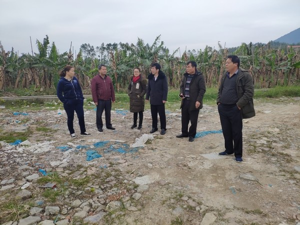 参观特色产业香蕉基地核心区.jpg